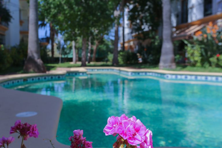 Pool view with flowers at apartment El Patio in Dénia